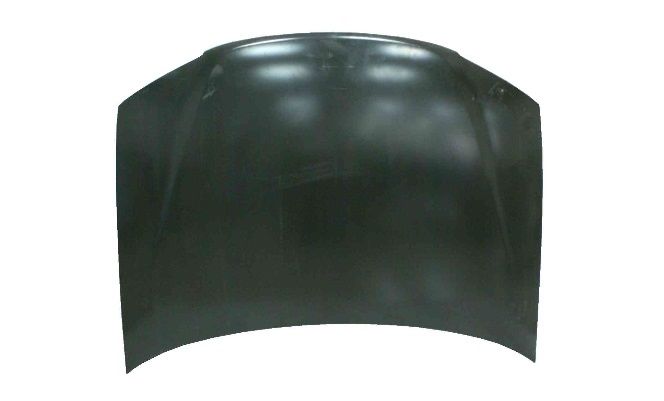 MOTOR KAPUTU MENTEŞESİZ ALBEA 05-  FIA08AL004